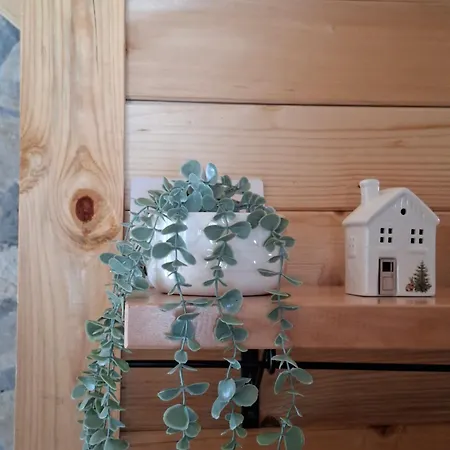 펜션 Vikendica Neven 2 Zaovine